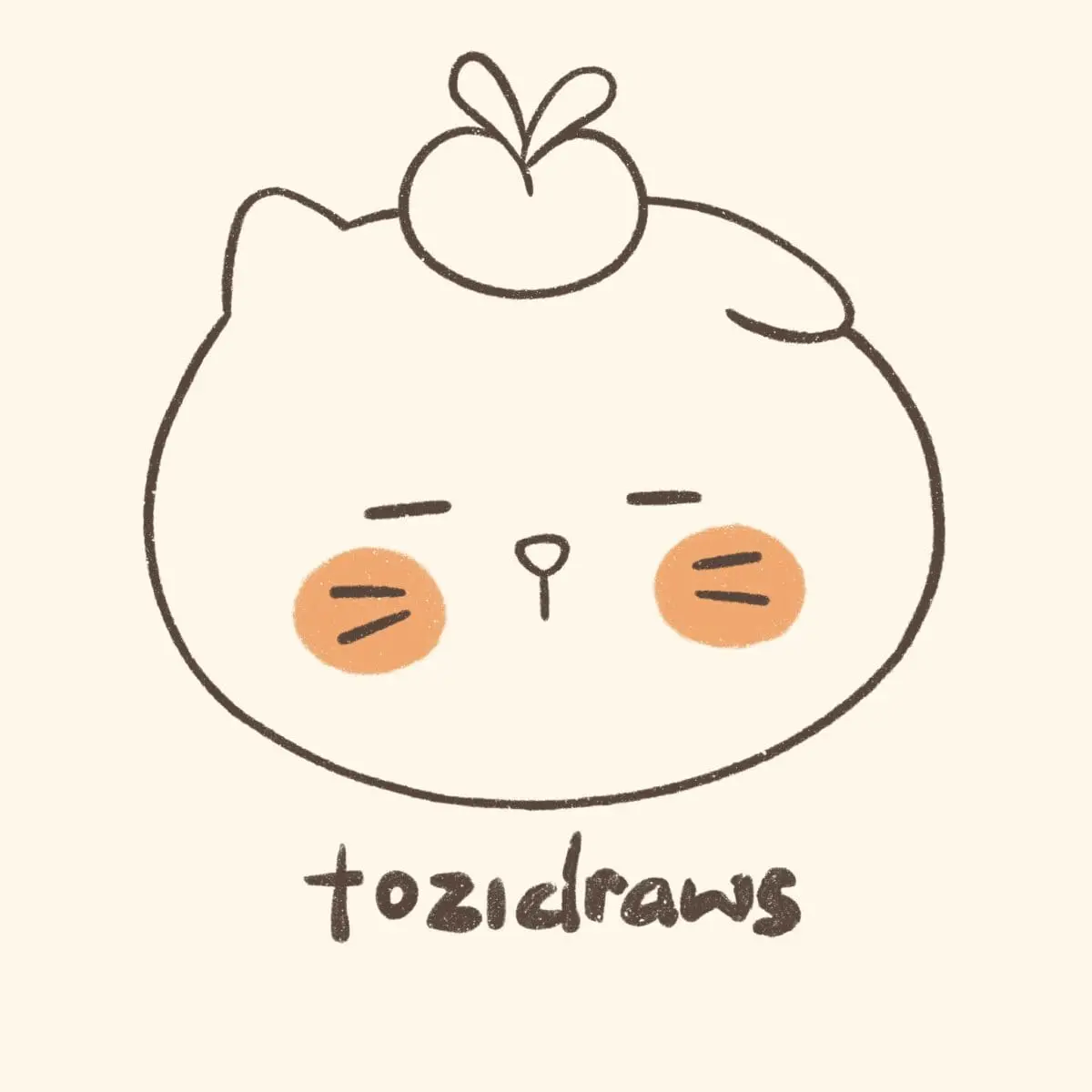 Tozidraws