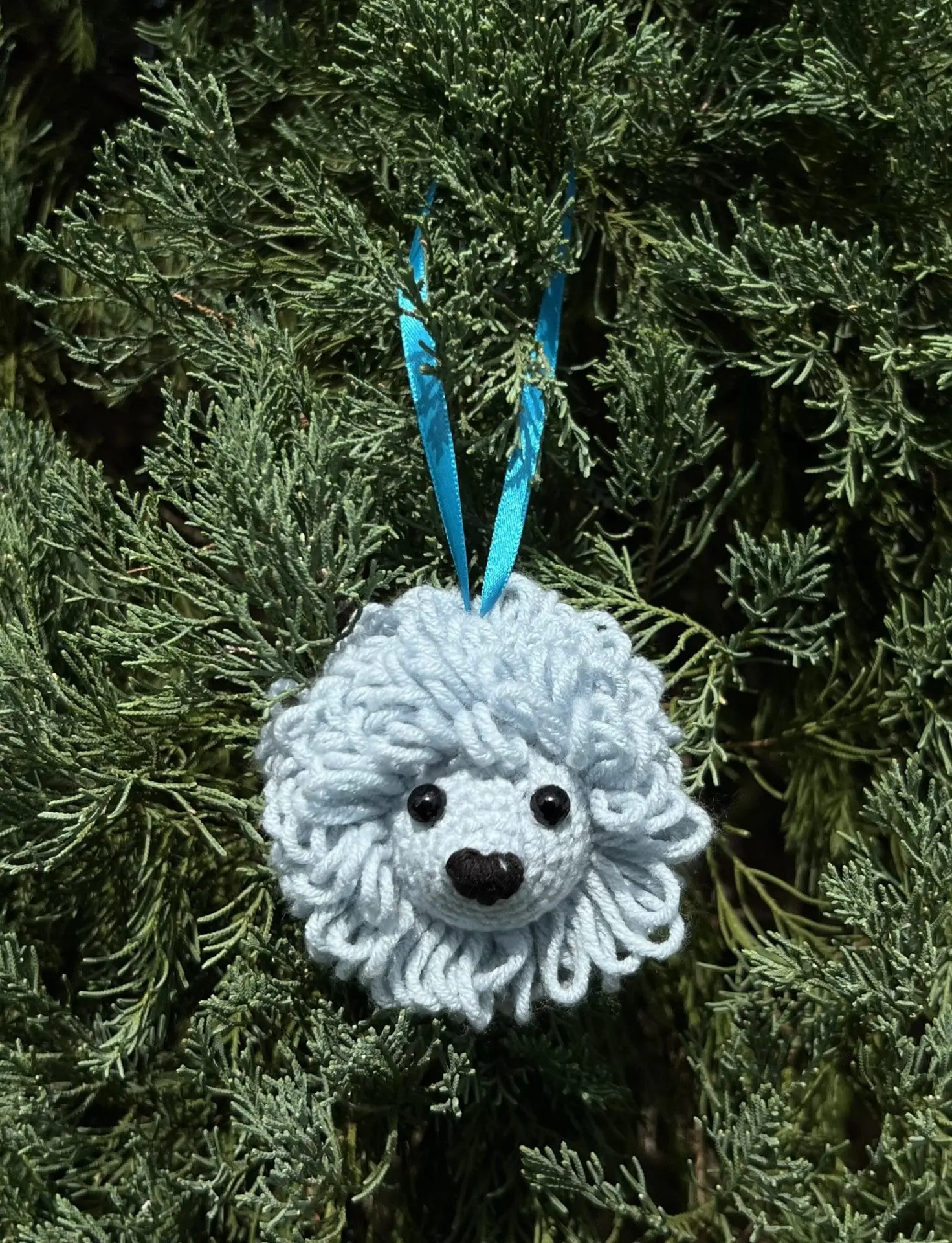 Lovely Hedgehog